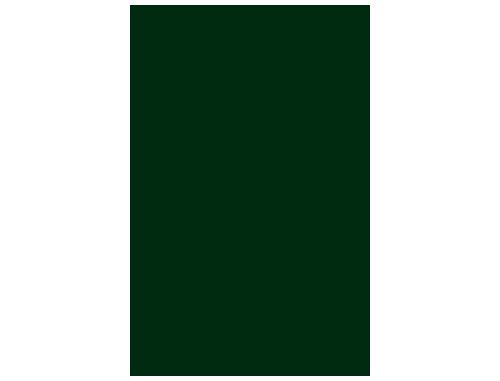 Cartolina guarro din a3 verde escuro 185 gr pack de 50 folhas , Guarro , 54771 , 3148954223056